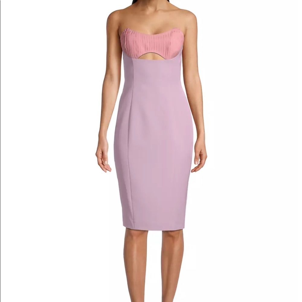 Lavish Alice Colorblock Dress